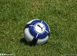 开云体育,产品,开云体育App,开云体育,开云体育官网,开云体育app,开云体育平台,KAIYUN,SPORTS,kaiyun登录入口