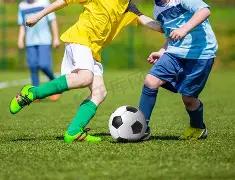 森林狼战绩,亮眼,全胜对手胜,开云体育,开云体育官网,开云体育app,开云体育平台,KAIYUN,SPORTS,kaiyun登录入口