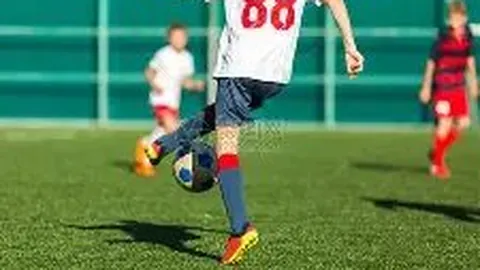 开云体育App 产品 132003 abf