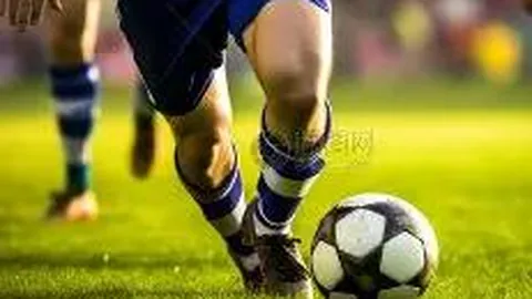 开云体育App 产品 113922 n9v