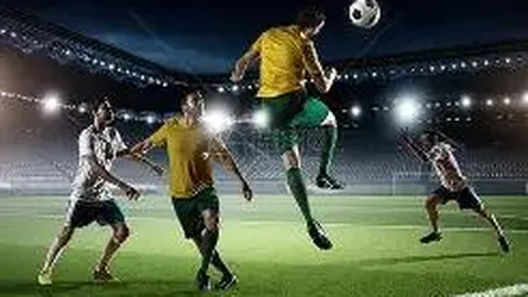 开云体育App 资讯 132451 aso