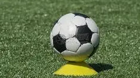 开云体育App 产品 132244 c8f