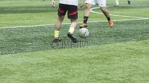 开云体育App 产品 100022 xxz