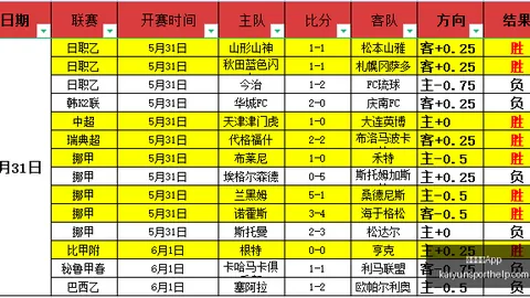 开云体育 172439